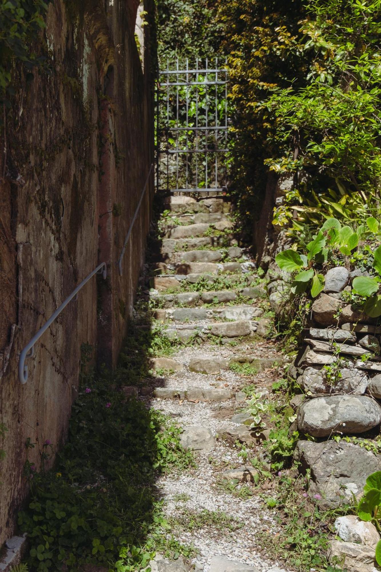 Ferienwohnung Residenza Nemus Mare E Montagna Graveglia Exterior foto